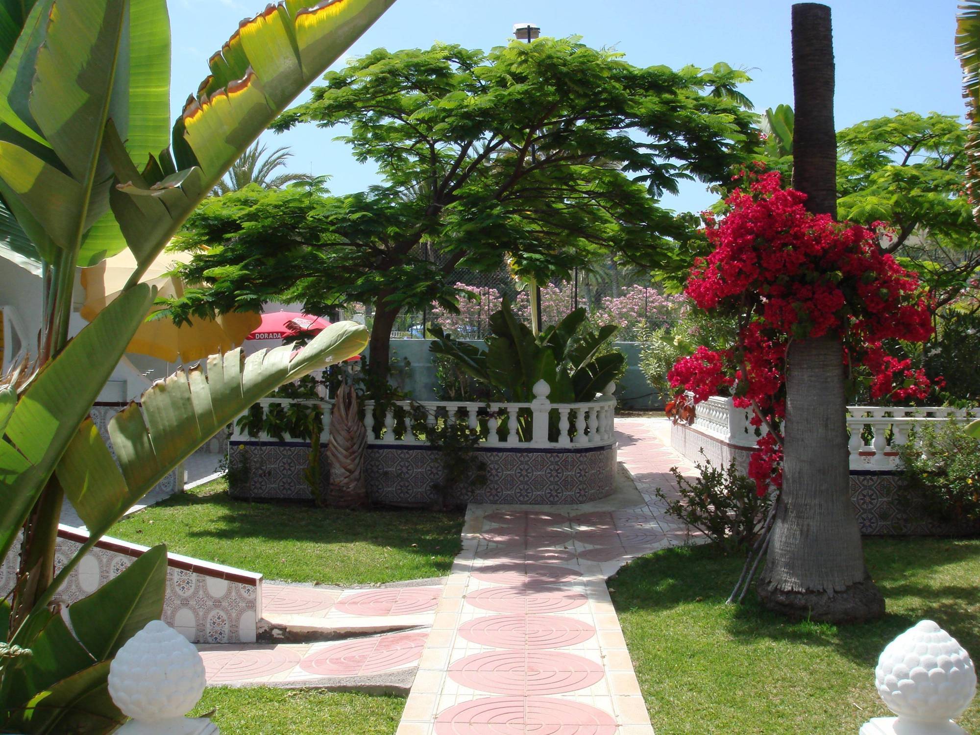 Hotel San Valentin & Terraflor Park Playa del Inglés Exterior foto